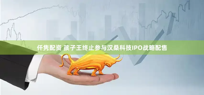 仟隽配资 孩子王终止参与汉桑科技IPO战略配售