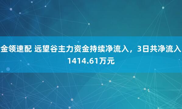 金领速配 远望谷主力资金持续净流入，3日共净流入1414.61万元