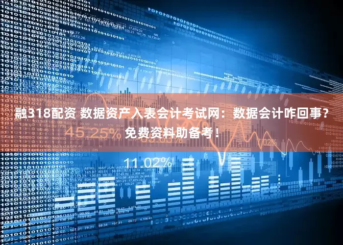 融318配资 数据资产入表会计考试网：数据会计咋回事？免费资料助备考！