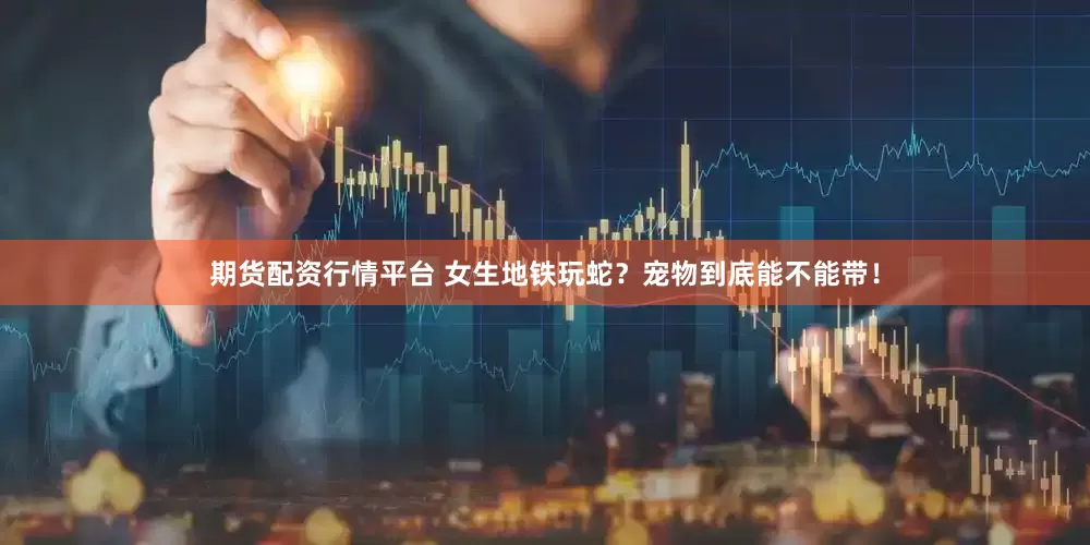 期货配资行情平台 女生地铁玩蛇？宠物到底能不能带！