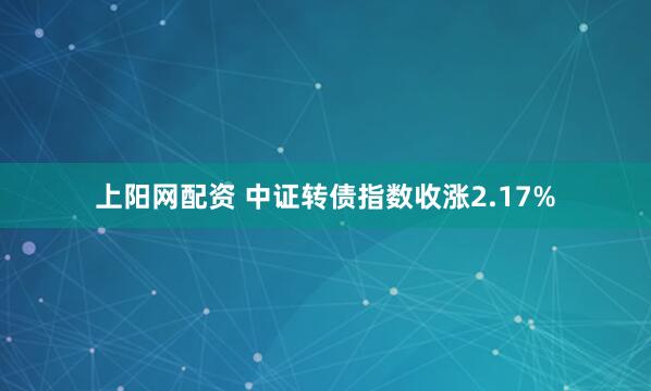 上阳网配资 中证转债指数收涨2.17%